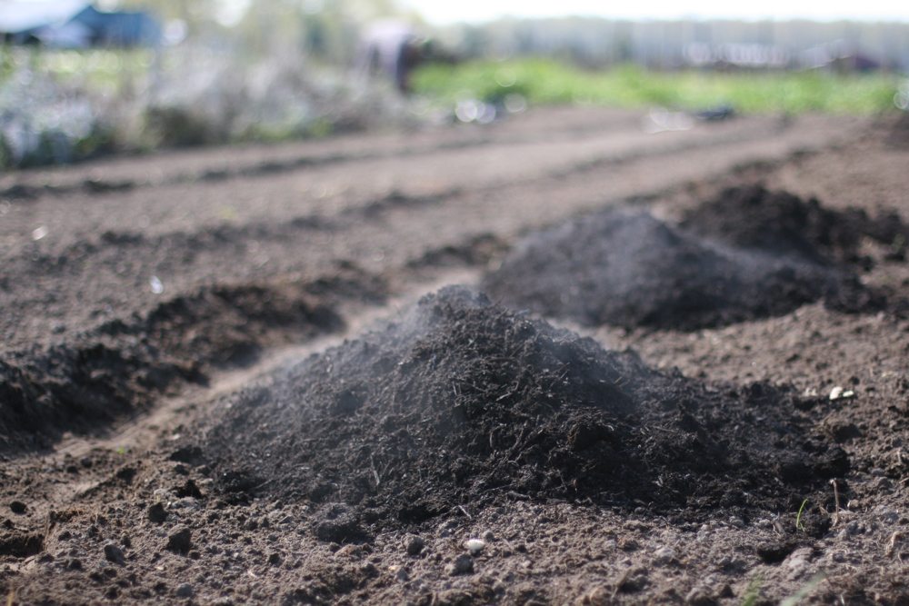 Compost and organic fertilizer for bed preparation