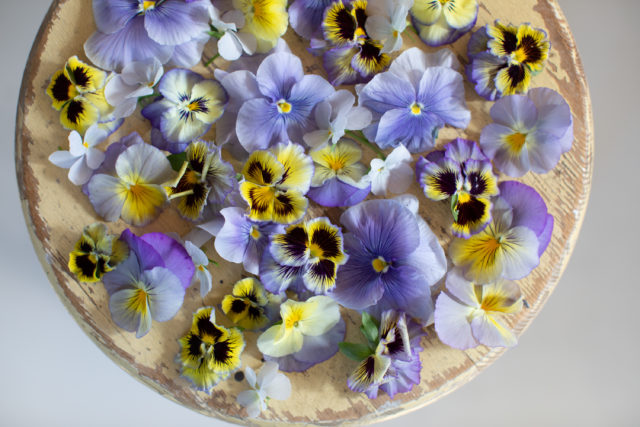 Violas and pansies from Floret