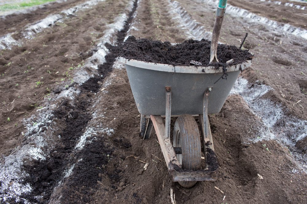 A wheelbarrow full of compost being spread on a field