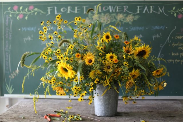 Sunflower arrangement in metal bucket