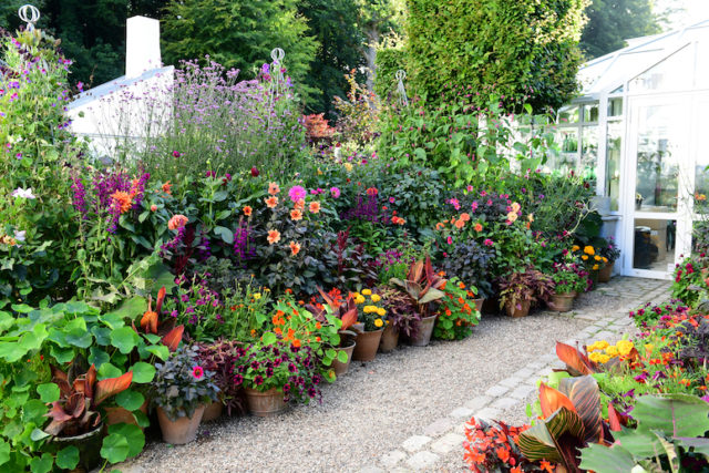 Container plantings for flowers Claus Dalby interview on Floret Blog