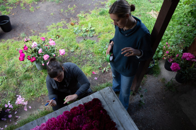 Erin & Jill working on Floret Book #2