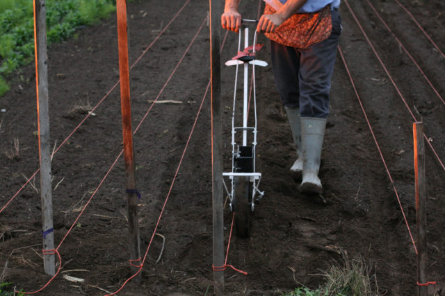 direct seeding with earthway seeder