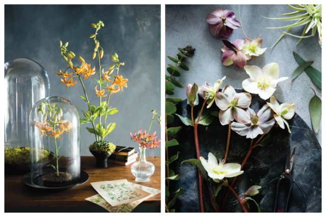 Seasonal Flower Arranging by Ariella Chezar