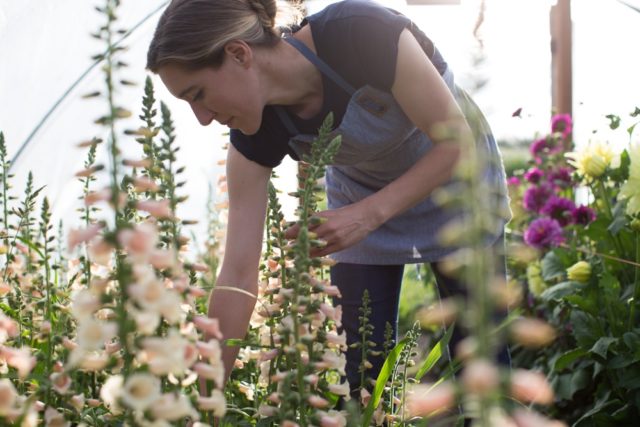 Erin with foxglove in hoophouse