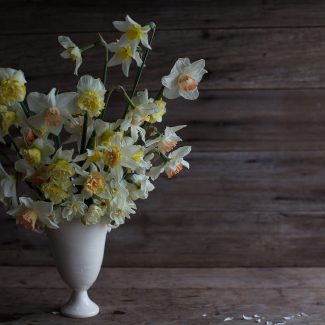 A vase of daffodils