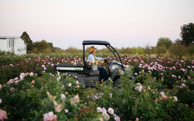 Felicia Alvarez drives her buggy at Menagerie Farm