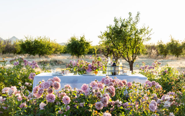 Beautiful tablescape in the rose fields at at Menagerie Farm