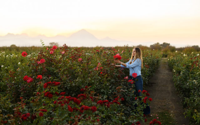 Felicia Alverez in the roses fields at Menagerie Farm