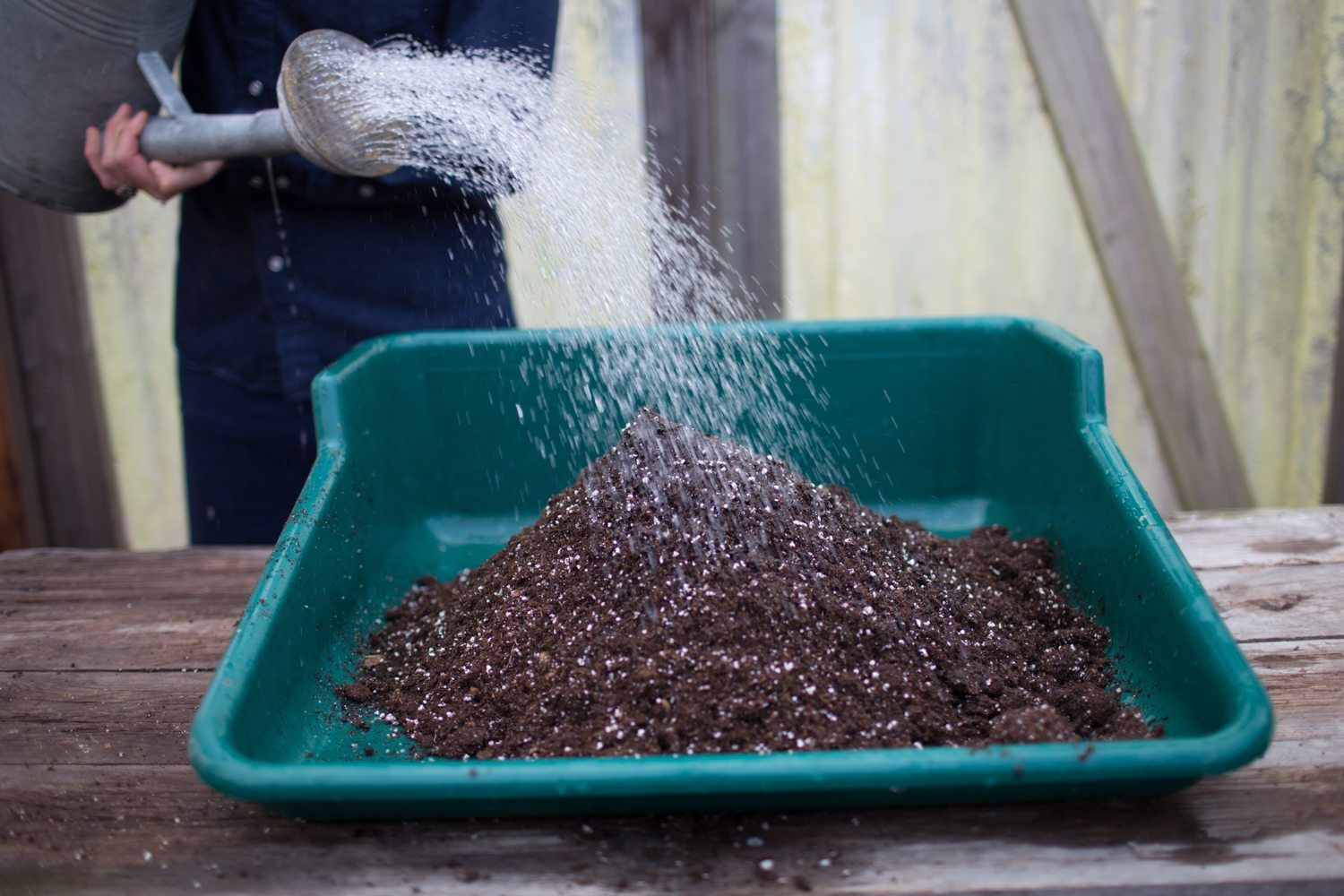 Hydrating potting soil with a watering can