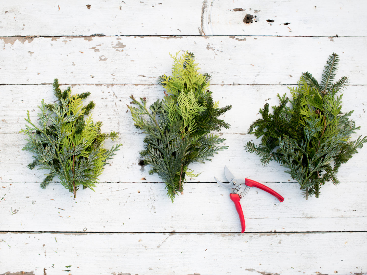 Bunches of evergreen foliage with pruners