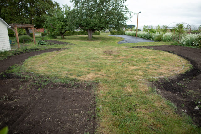 The formal rose garden takes shape at Floret